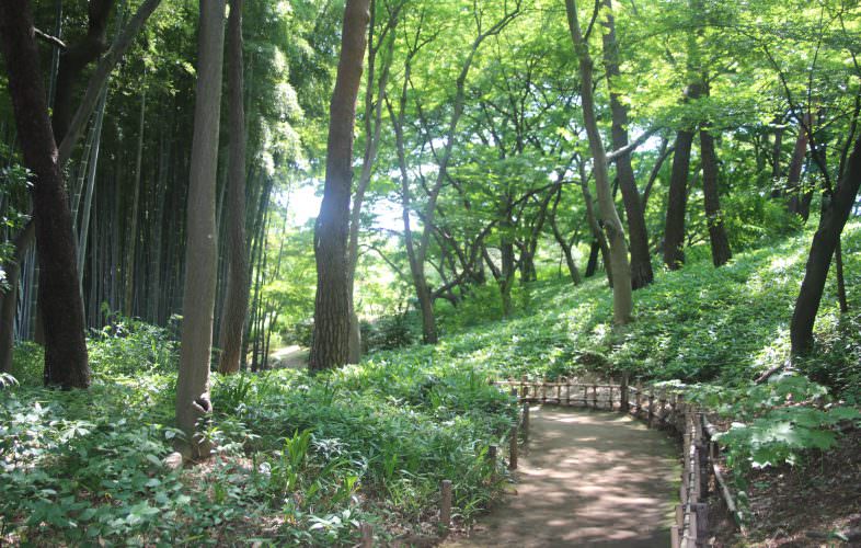 国指定名勝 殿ヶ谷戸庭園（随冝園） | 国分寺市観光シティ